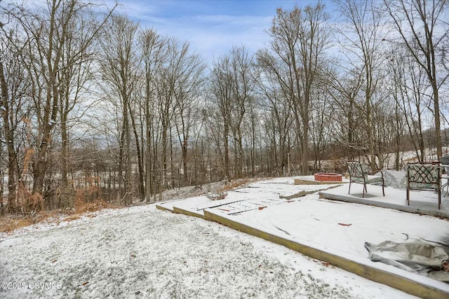 view of snowy yard