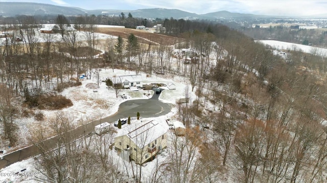 snowy aerial view with a mountain view