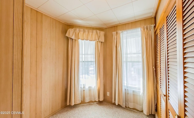 spare room featuring wooden walls and carpet floors