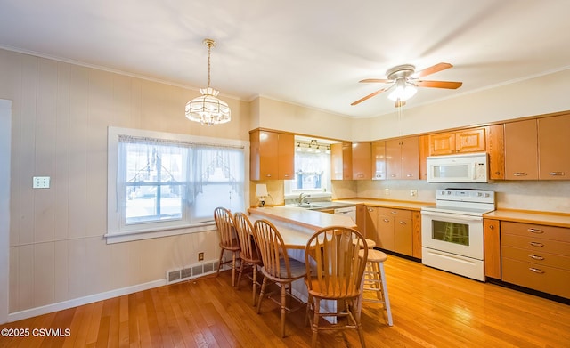 kitchen featuring white appliances, plenty of natural light, sink, and light hardwood / wood-style flooring