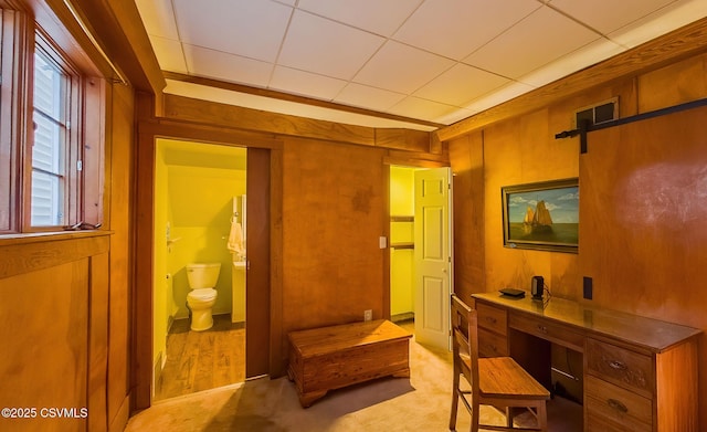 interior space featuring light colored carpet, plenty of natural light, and wooden walls