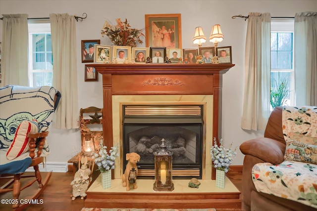 sitting room with wood-type flooring