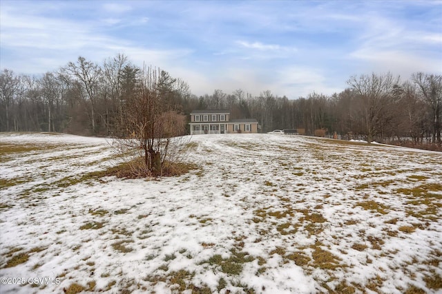 view of snowy yard