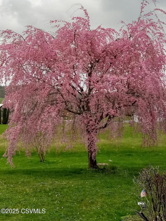 surrounding community with a lawn