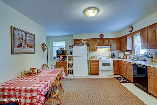 kitchen featuring sink, a wealth of natural light, and black appliances