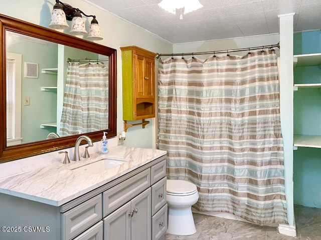 bathroom featuring vanity, a shower with curtain, and toilet