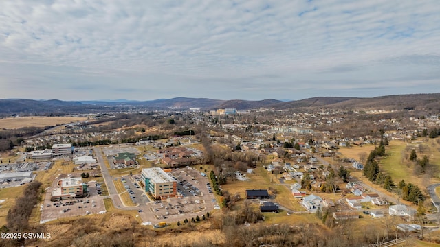 birds eye view of property featuring a mountain view