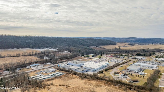 birds eye view of property with a mountain view