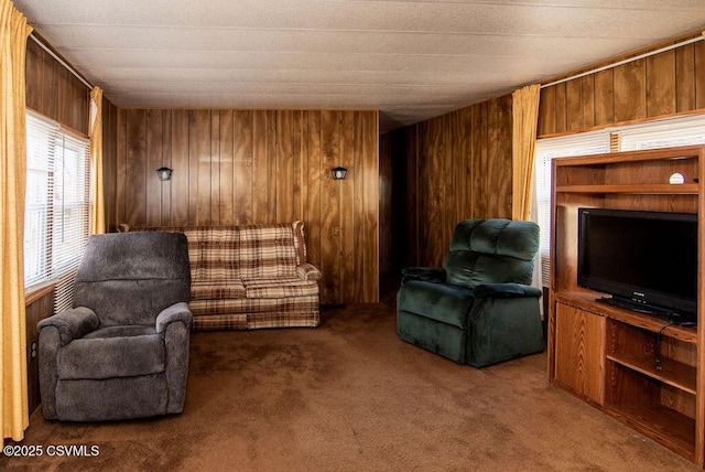 sitting room with wooden walls and carpet