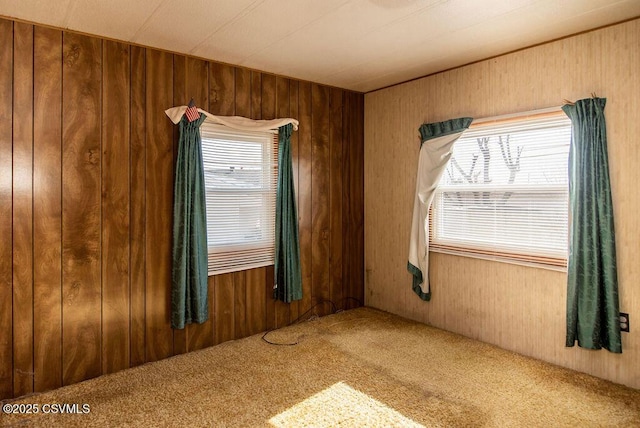 carpeted spare room featuring wooden walls