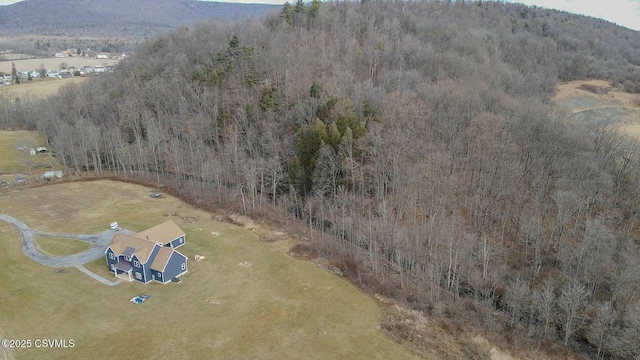 drone / aerial view featuring a rural view