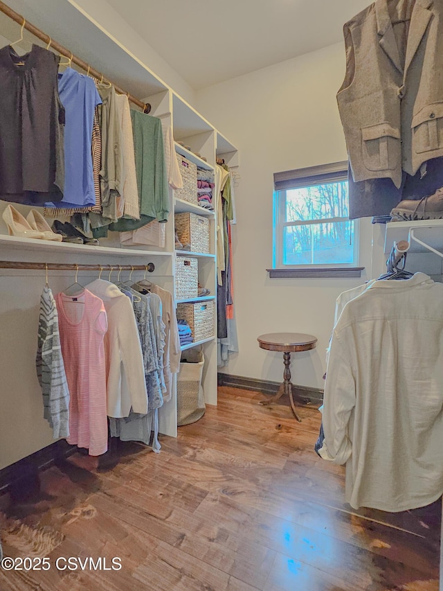 walk in closet featuring hardwood / wood-style flooring