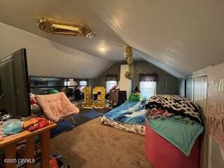 bedroom featuring vaulted ceiling