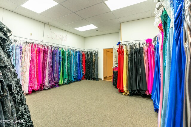 53 W Main St, Bloomsburg, PA 17815 - walk in closet featuring carpet floors and a paneled ceiling