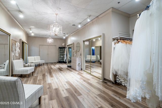 53 W Main St, Bloomsburg, PA 17815 - interior space featuring track lighting, ornamental molding, wood-type flooring, and a chandelier