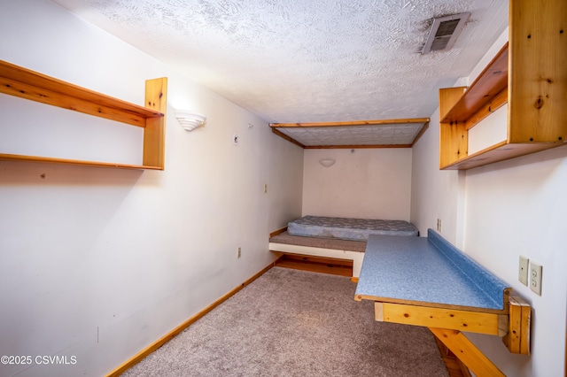 53 W Main St, Bloomsburg, PA 17815 - unfurnished bedroom with carpet flooring and a textured ceiling