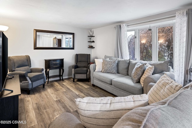 living room with wood-type flooring