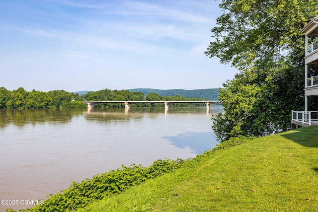 118 Jacobs Landing Way, Danville, PA 17821 - water view