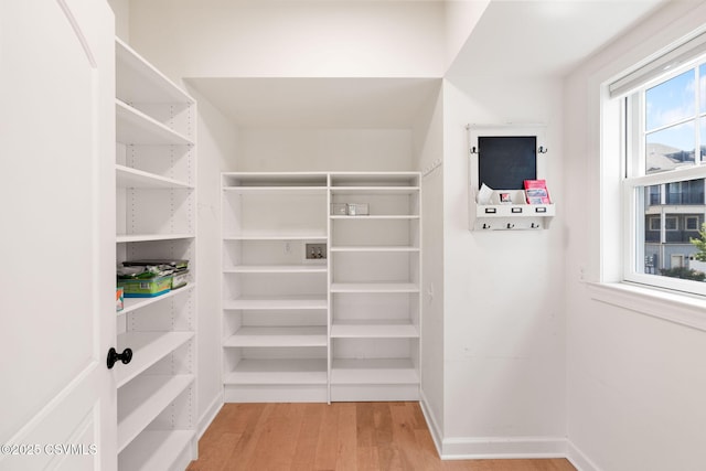 118 Jacobs Landing Way, Danville, PA 17821 - spacious closet with light wood finished floors