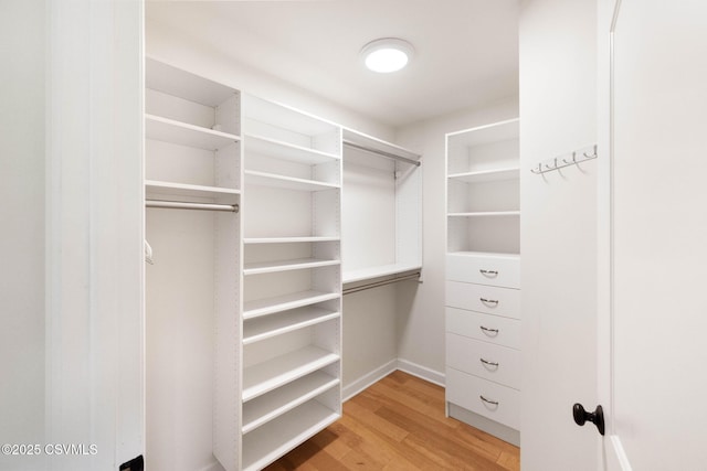 118 Jacobs Landing Way, Danville, PA 17821 - spacious closet with light wood-type flooring