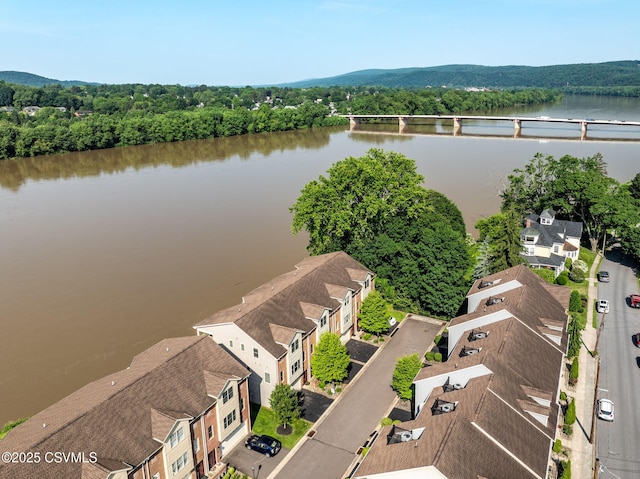 118 Jacobs Landing Way, Danville, PA 17821 - aerial perspective of suburban area featuring a large body of water and a heavily wooded area