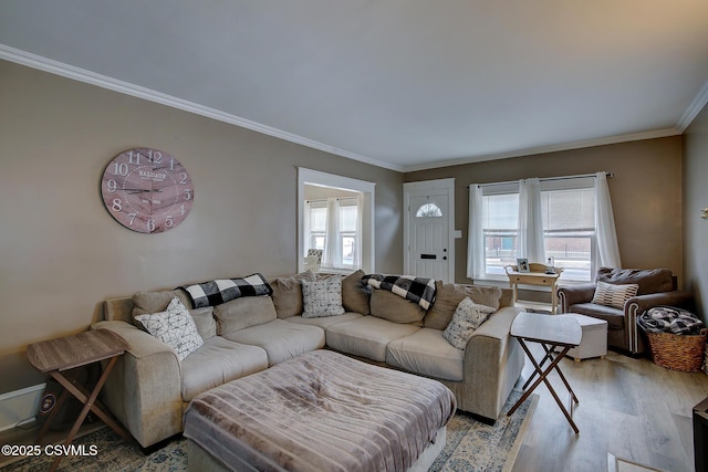 living room featuring light wood finished floors, ornamental molding, and a wealth of natural light