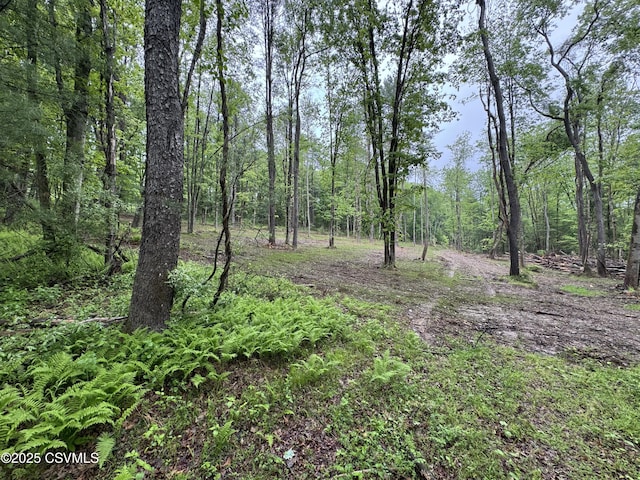 Neufer Hollow Rd, Muncy, PA 17756
