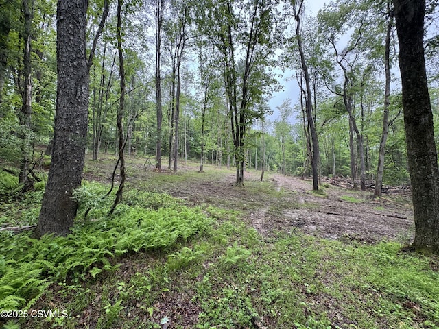 Neufer Hollow Rd, Muncy, PA 17756