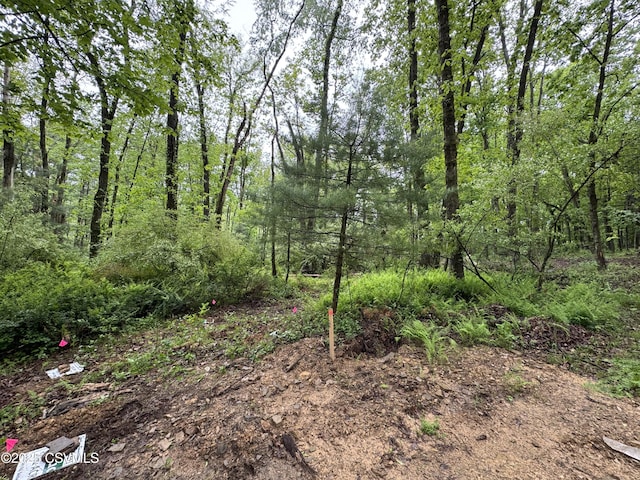 Neufer Hollow Rd, Muncy, PA 17756
