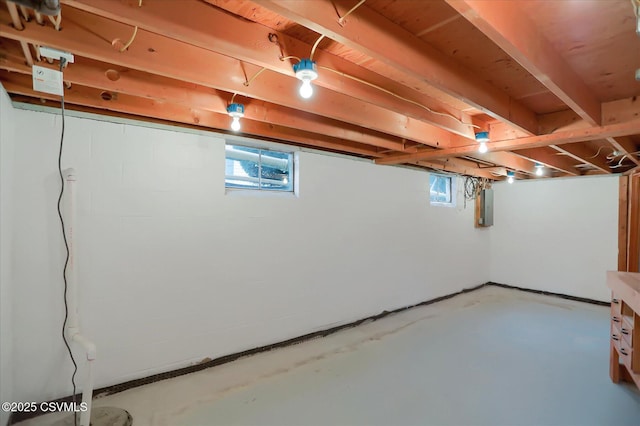 basement with plenty of natural light and electric panel