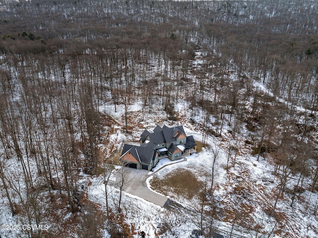 view of snowy aerial view