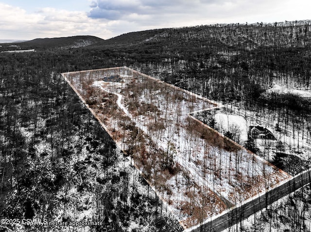 snowy aerial view featuring a mountain view