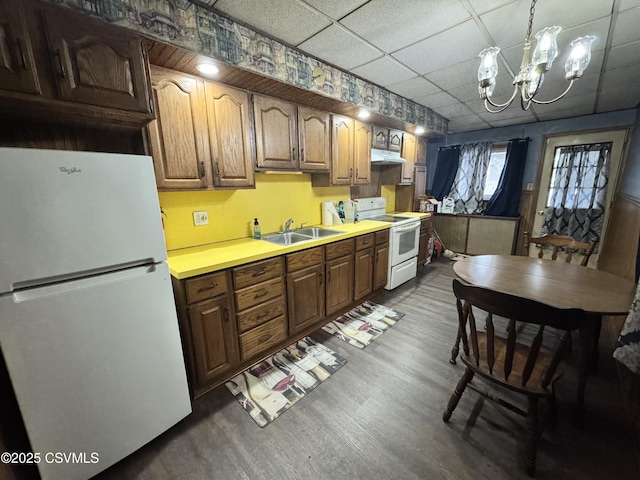 kitchen featuring sink, an inviting chandelier, a paneled ceiling, dark hardwood / wood-style floors, and white appliances