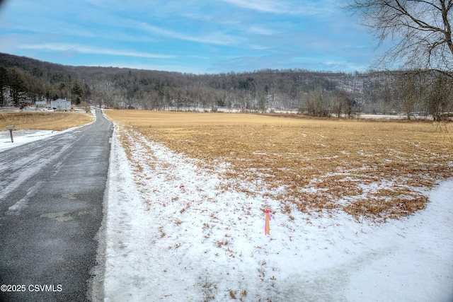 Raski Rd, Benton PA, 17814 land for sale