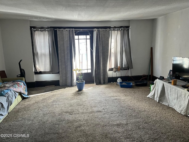 carpeted bedroom with a textured ceiling