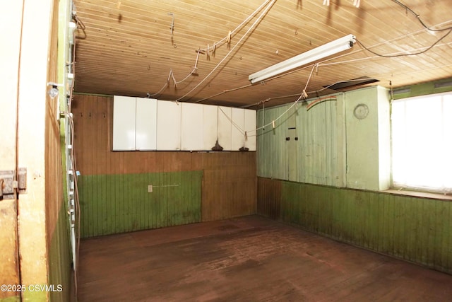 basement featuring dark wood-type flooring