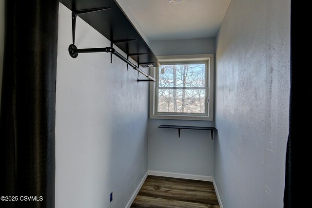 walk in closet featuring wood finished floors