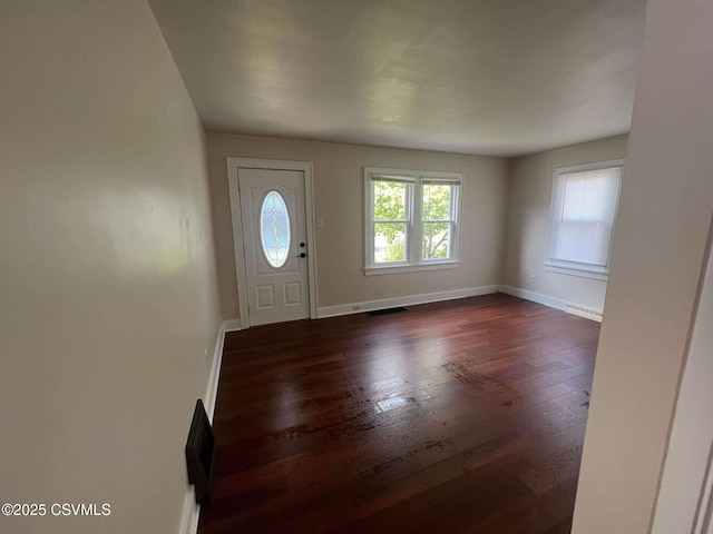 entrance foyer with dark wood-style floors, a healthy amount of sunlight, and baseboards