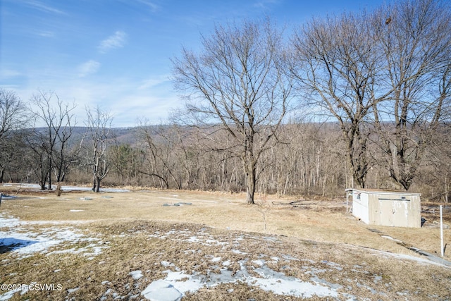 view of yard with a shed and an outdoor structure