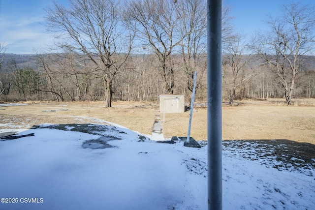 snowy yard with an outdoor structure and a storage unit