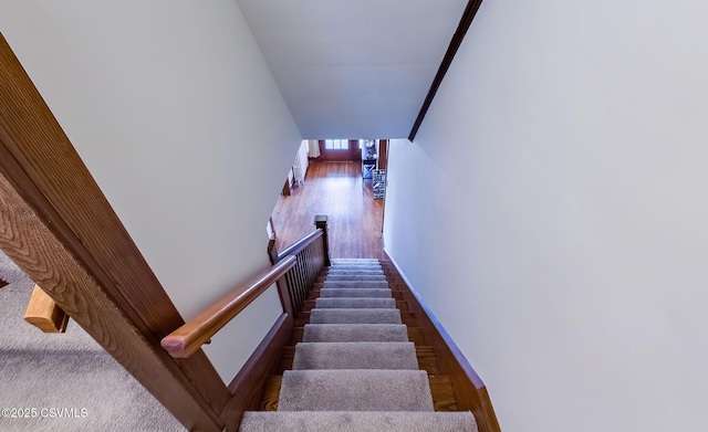 stairs with wood finished floors