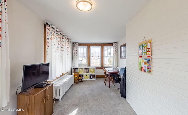 playroom featuring carpet floors and radiator