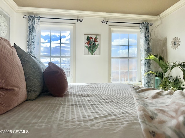 bedroom with ornamental molding and multiple windows