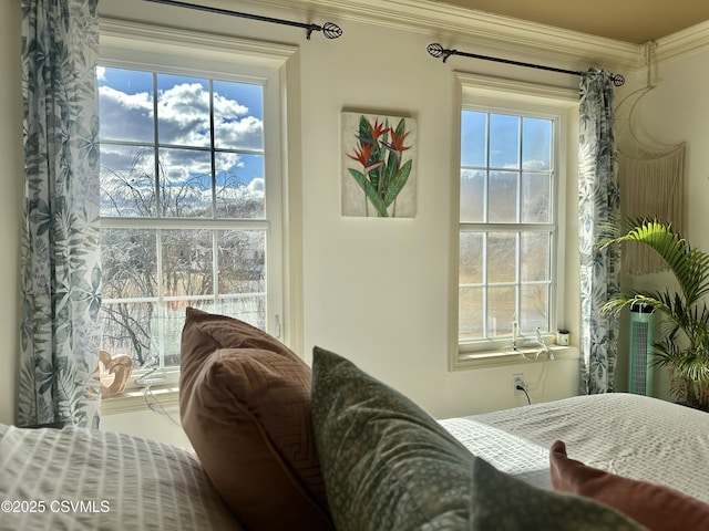 bedroom with ornamental molding and multiple windows