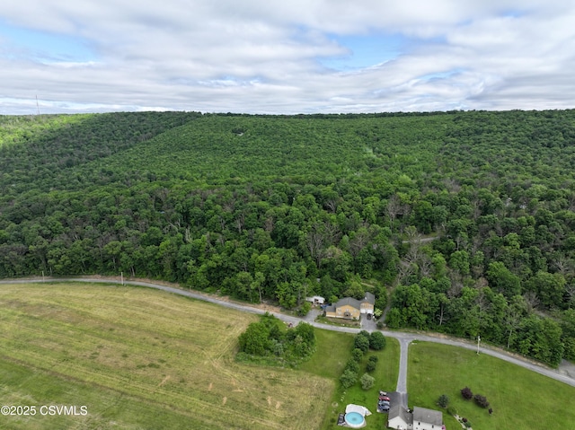 729 Hookies Grove Rd, Northumberland, PA 17857 - photo 17