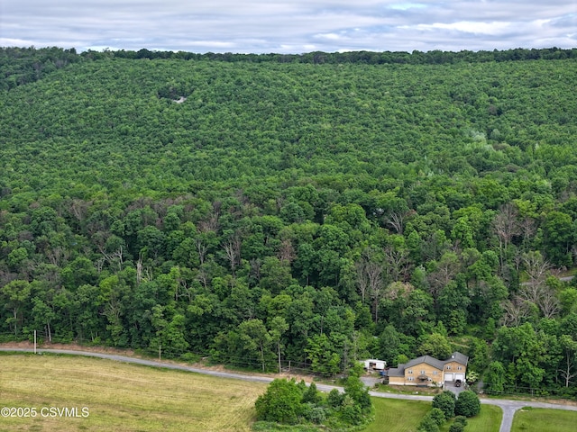 729 Hookies Grove Rd, Northumberland, PA 17857 - photo 16