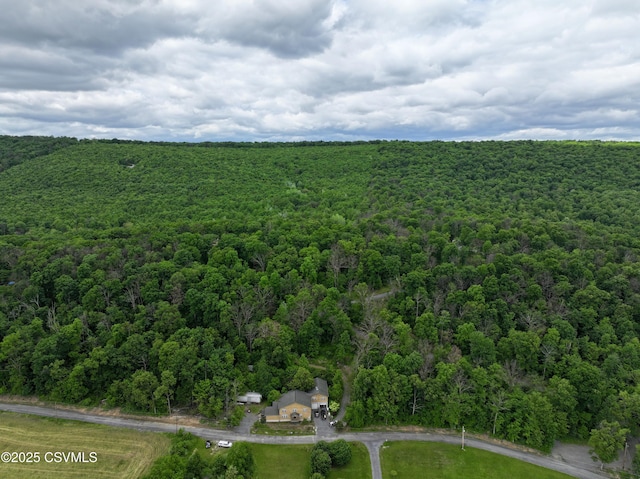 729 Hookies Grove Rd, Northumberland, PA 17857 - photo 18