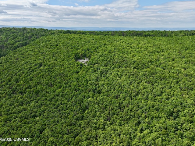 729 Hookies Grove Rd, Northumberland, PA 17857 - photo 63