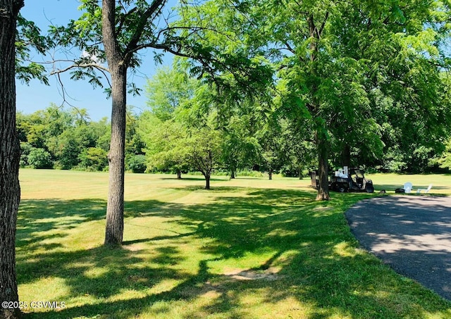 view of property's community featuring a lawn