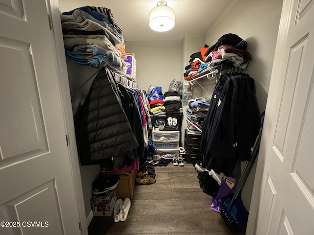 walk in closet featuring wood finished floors